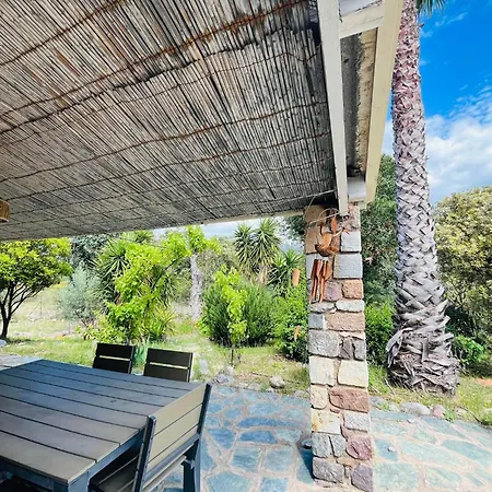 Piscine カルヴィ